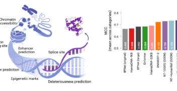 Left: Graphical representation of genomic features considered for downstream tasks to evaluate NT performance. Right: Comparison of NTs to baselines. We report Normalized mean of MCC performance across downstream tasks (divided by category) for all methods after fine-tuning.