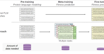 We introduce Metalic, an in-context meta-learning approach for protein fitness prediction in extreme low-data settings. Critically, Metalic leverages a meta-training phase over a distribution of related fitness prediction tasks to learn how to utilize in-context sequences with protein language models (PLMs) and generalize effectively to new fitness prediction tasks. Along with fine-tuning at inference time, Metalic achieves strong performance in protein fitness prediction benchmarks, setting a new SOTA on ProteinGym, with significantly fewer parameters than baselines. Importantly, Metalic demonstrates the ability to make use of in-context learning for zero-shot tasks, further enhancing its applicability to scenarios with minimal labeled data.