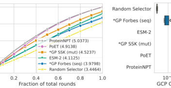 : Multi-round design averaged over eight single-mutant protein landscapes. Left: Top-30% recall (mean and 95%-CI). Our methods are highlighted with ∗ . Right: Wall-clock runtime interpreted across hardware as compute costs. Our GP with string (SSK) or fingerprint (Forbes) kernels are competitive with PLM baselines whilst only requiring a fraction of runtime and no pre-training.