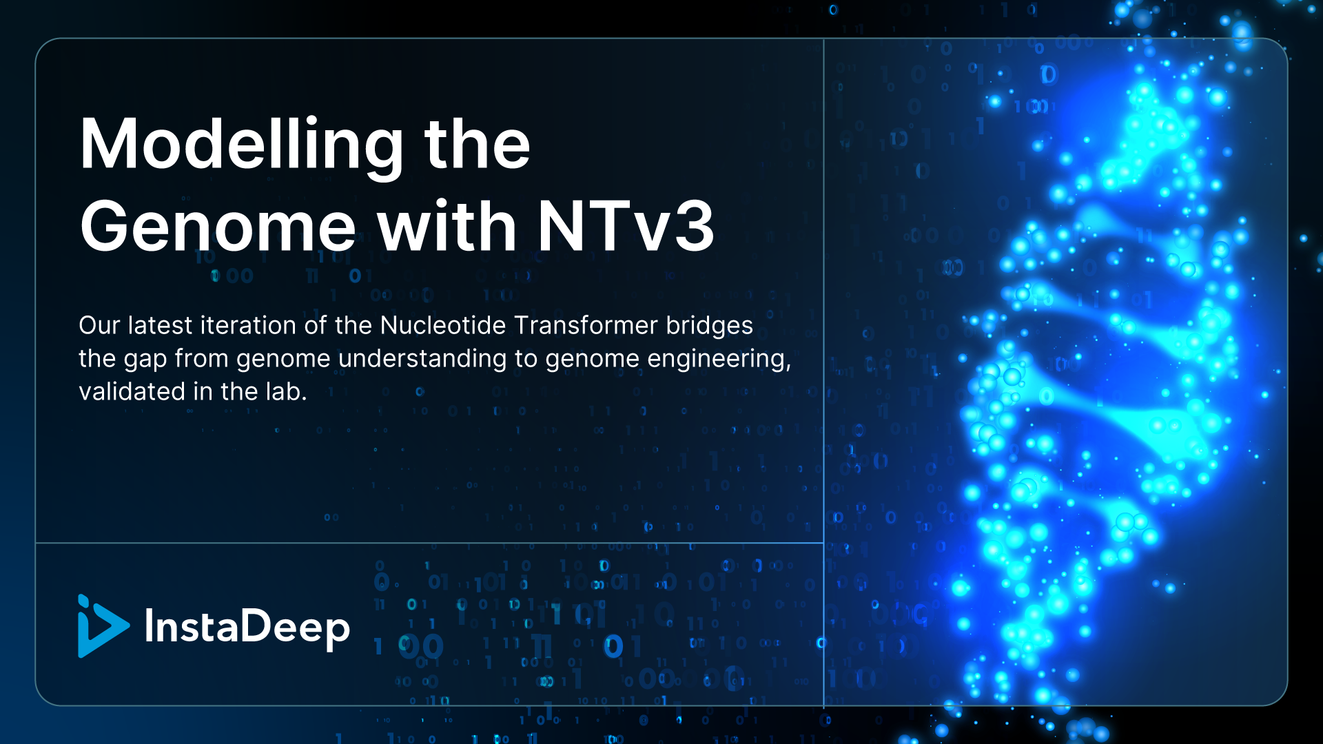 Modelling the Genome with NTv3