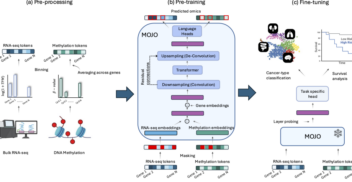 Figure 1 shows MOJO pipeline. (a) Each modality is first tokenized using linear binning. (b) MOJO, whose core architecture is composed of a mix of convolution and attention operations, is firstly pre-trained through bimodal masked language modeling. (c) Embeddings are probed from MOJO to fine-tune a task-specific head tailored for cancer-type classification or survival analysis.